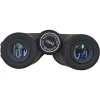 DT-A 10x42 high-definition binoculars BAK4 Ridge Mirror FMC multi-layer coated outdoor concert bird-watching binoculars Application Scenario